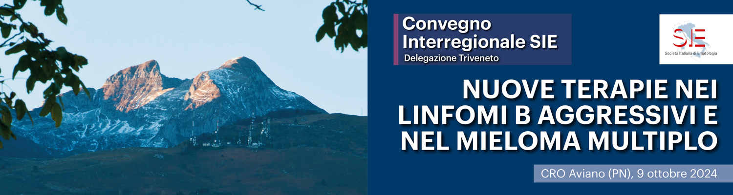 CONVEGNO INTERREGIONALE SIE - Delegazione Triveneto: Nuove terapie nei linfomi B aggressivi e nel mieloma multiplo